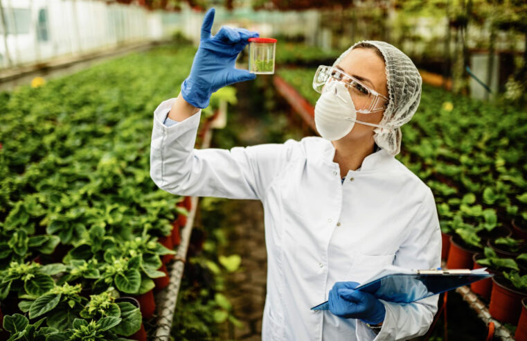 Secretaria da Agricultura do RS abre cadastro para empresas de tecnologia da informação testarem a segunda versão do Siga