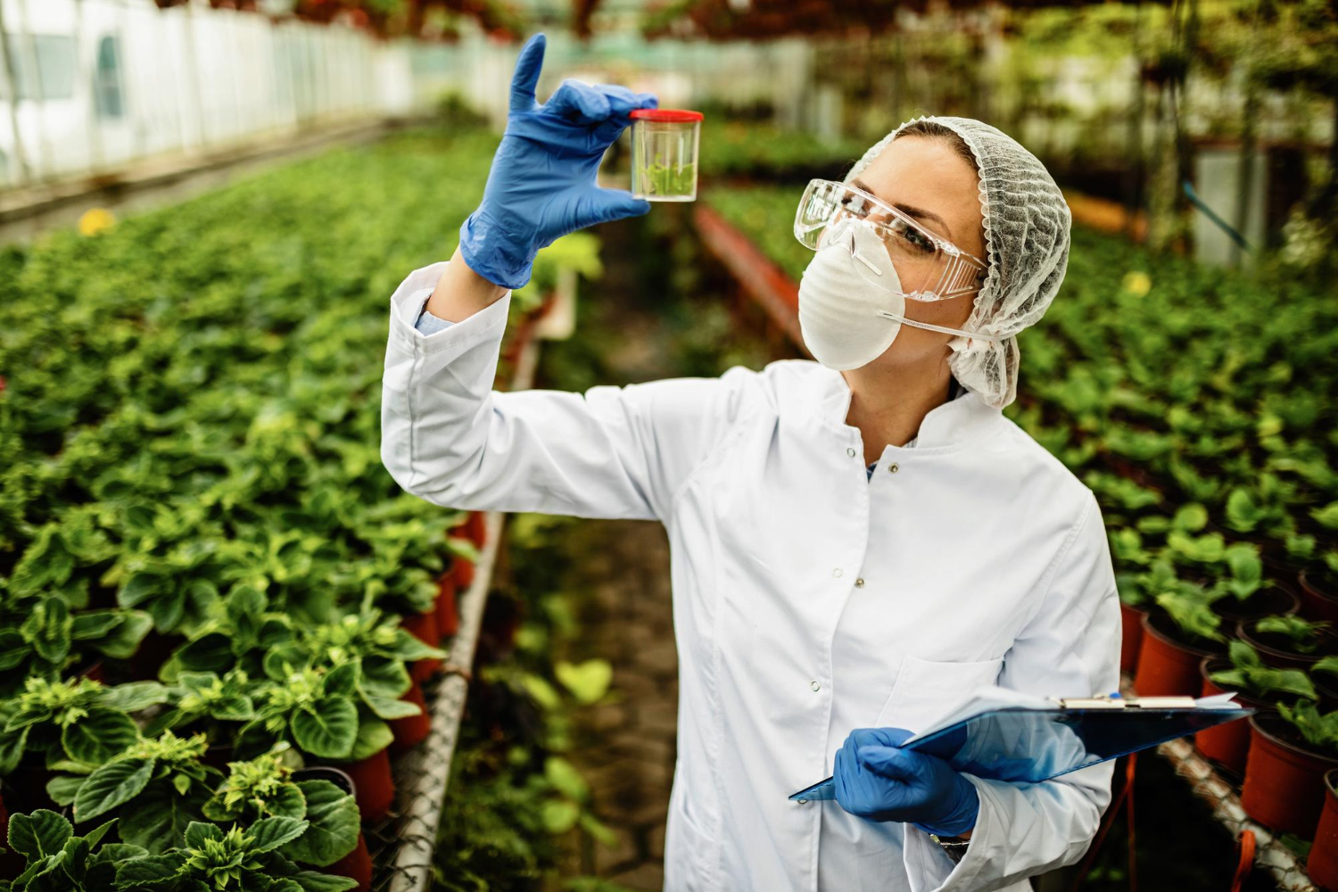 Secretaria da Agricultura do RS abre cadastro para empresas de tecnologia da informação testarem a segunda versão do Siga